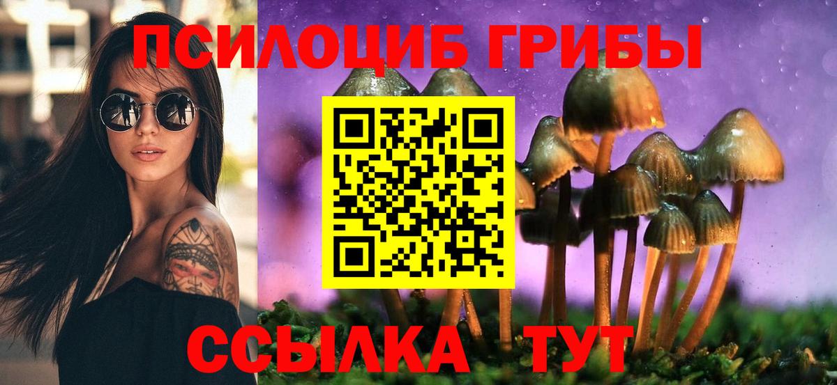 Псилоцибиновые грибы прущие грибы Кузнецк